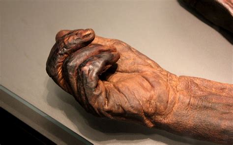 Irish Bog Bodies: mummies of the Emerald Isle