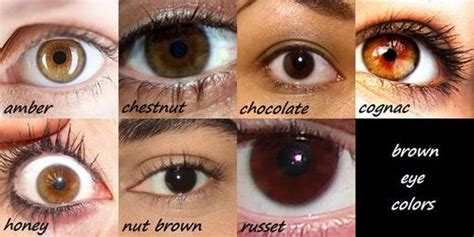 Brown Eyes Facts | Personality Traits And Health Risks
