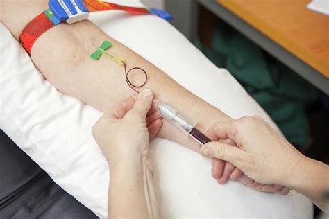 Blood Sampling Photograph by Lewis Houghton/science Photo Library - Pixels