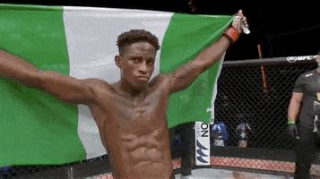 Nigerian Flag GIFs - Find & Share on GIPHY