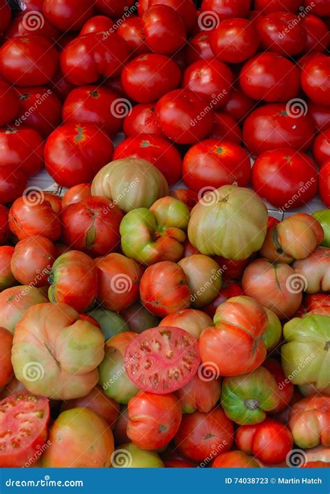 Tomatoes in Various Shapes Sizes and Colours. Stock Image - Image of nature, shapes: 74038723