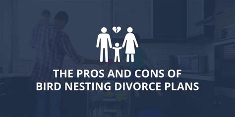 The Pros And Cons Of Bird Nesting Divorce Plans | Infinity Law Group LLC