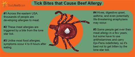 Do You Have A Beef With The Lone Star Tick? Tick Bite Causes Meat ...