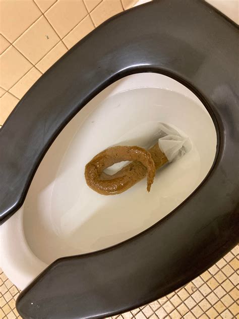 My biggest poop ever. Instant clog. : r/poop