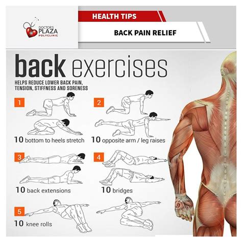 Pin on Back Pain Exercises