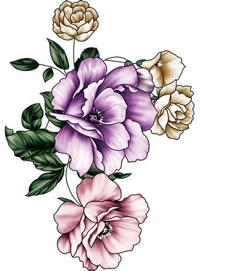 Pin by Kiran CH on Flowers | Flower prints art, Botanical flower art, Flower drawing