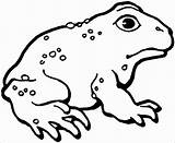 Toads Coloring Pages  ColoringBay sketch template