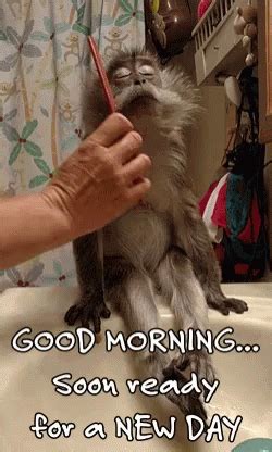 Funny Good Morning GIFs | Tenor