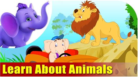 Let's Learn About Animals - Preschool Learning - YouTube