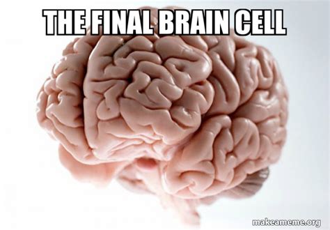 The Final Brain Cell - Scumbag Brain Meme Generator