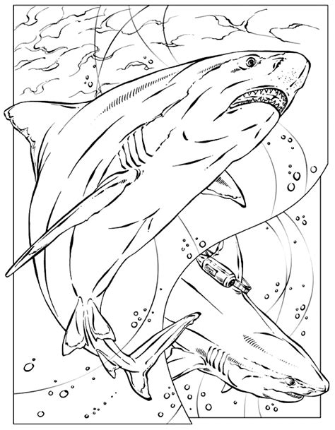 Free Shark Coloring Page, Download Free Shark Coloring Page png images ...