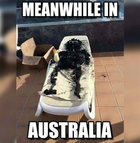 Australians share memes about blistering heatwave | Daily Mail Online