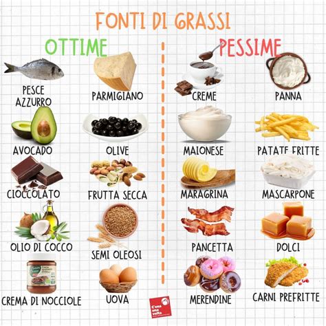 Fonti di Grassi Buone e Pessime | Cibo, Mangiare bene, Nutrizione