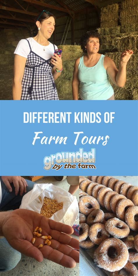 Different Types of Farm Tours & How to Take One - Grounded by the Farm