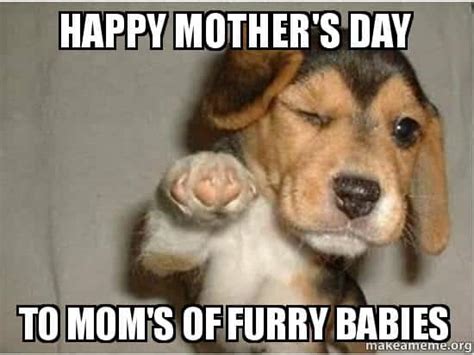 Funny Mother's Day Memes 2023 to Celebrate the Best - Lola Lambchops