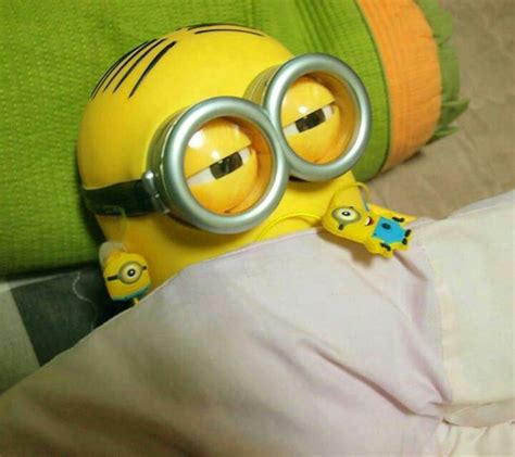 Minion sleep | Minions, Minions funny, Funny minion pictures