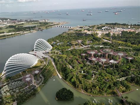 Gardens By the Bay from top of Marina Bay Sands : r/singapore