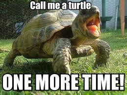 CALL ME A TURTLE ONE MORE TIME!!! by I-Like-Memes on DeviantArt