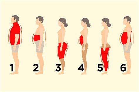 6 Types of Body Fats You Need To Know - HTV