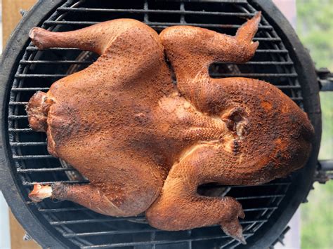 Frog Turkey | GrillGirl