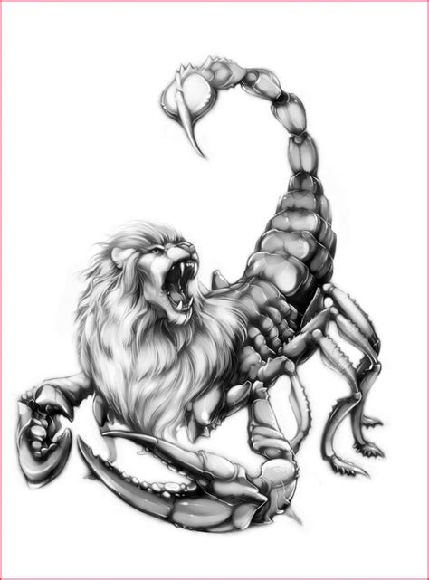 Realistic Scorpion Drawing at PaintingValley.com | Explore collection of Realistic Scorpion Drawing