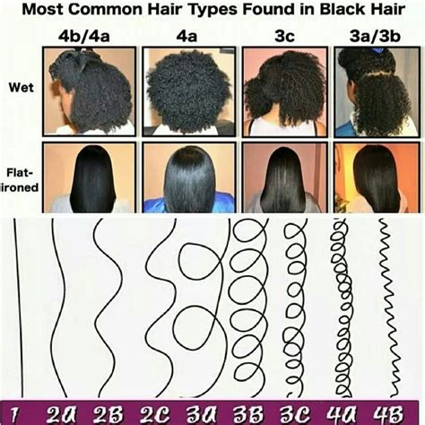 Most common hair types in black hair | Black hair types, Natural hair ...