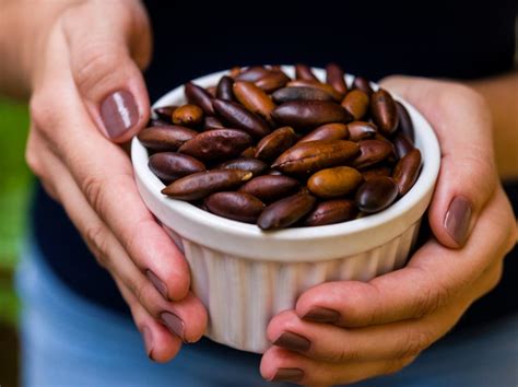 What Are Baru Nuts? This Brazilian Superfood Is Delicious