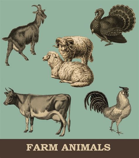 Vintage Farm Animals Set Free Stock Photo - Public Domain Pictures