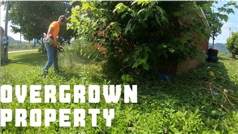 UNCUT OVERGROWN PROPERTY MAKEOVER - YouTube