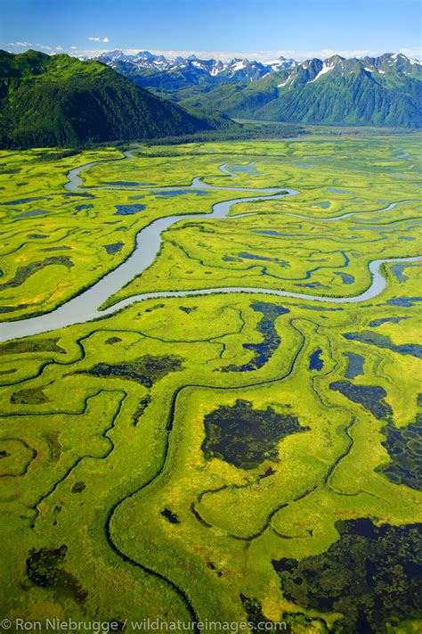 Copper River Delta | Chugach National Forest, Alaska | Photos by Ron ...