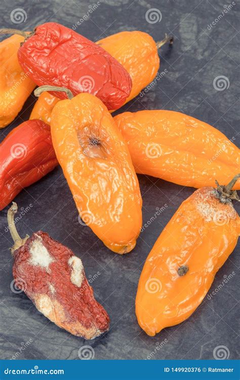 Moldy And Wrinkled Rotten Cut In Half Yellow Peppers. Concept Of ...