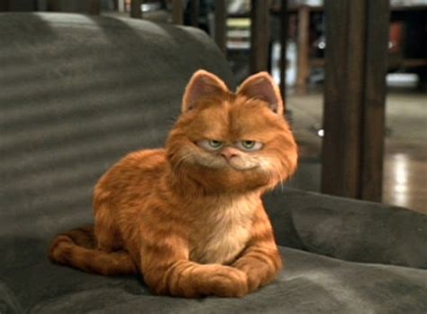 What Type Of Cat Is Garfield