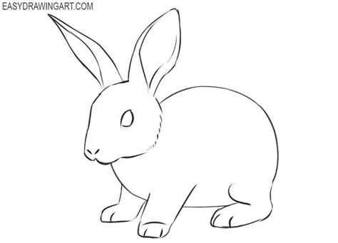 How to Draw a Rabbit | Easy Drawing Art | Rabbit drawing, Rabbit ...