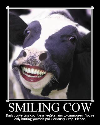 Kludge Spot: Smiling Cow