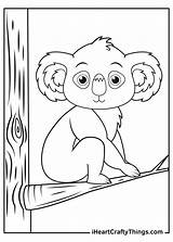 Koalas Coloring Pages Updated 2021 sketch template