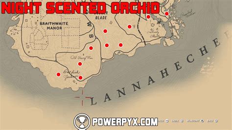 Red Dead Redemption 2 All Exotics Locations