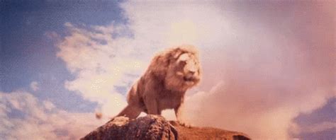 Roar Lion Scary Lion King | GIF | PrimoGIF