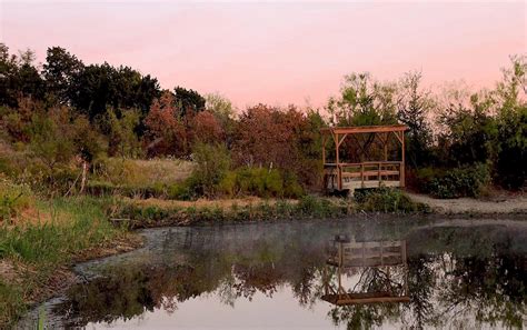 Cattail-Pond | Audubon Dallas