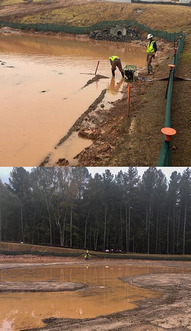 Durham Stormwater Wetland: 11,000 Aquatic Plants Installed by Team Dragonfly — Dragonfly Pond Works