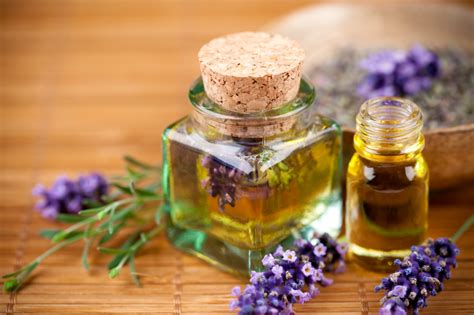 DIY: How to Make Essential Lavender Oil - Going Evergreen