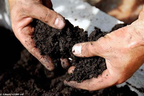 Soil, farming and science – introduction — Science Learning Hub