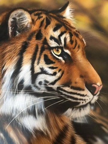 Tiger3 | Airbrush art, Art school, Tiger art