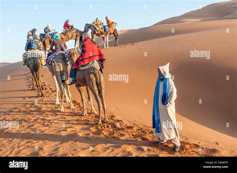 Camel caravan with tourists in the sahara desert. Morocco, Africa Stock Photo - Alamy