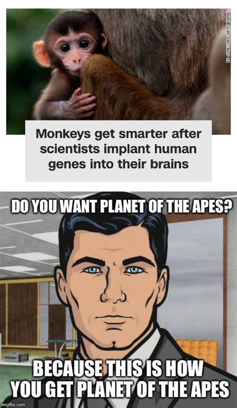 Image tagged in memes,archer,planet of the apes - Imgflip