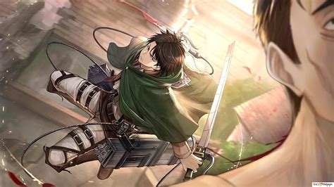 Attack on Titan, Levi Ackerman for the kill, levi ackerman pc HD ...