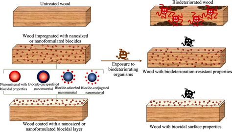 Nanotechnology approaches for creating biodeterioration-resistant wood