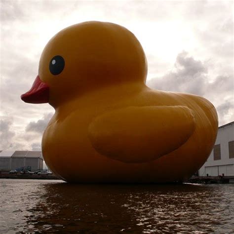 Rubber Ducks | ... in London dumped 250,000 blue rubber ducks into the Thames | Rubber duck ...