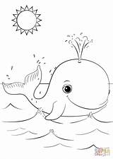 Cute Orca Whale Coloring Page Coloring Pages sketch template