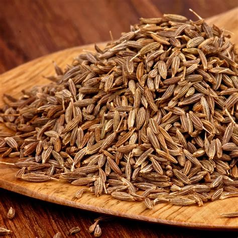 Cumin Seeds - Ankita Overseas