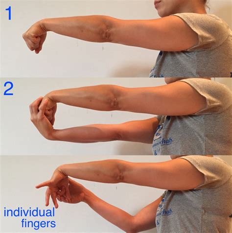 Wrist Flexion And Extension Exercises